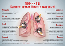 Плакат о вреде курения (А2) (594х420; Пластик ПВХ 4 мм, ПЭТ, алюминиевый профиль) (3)